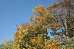 R0004282