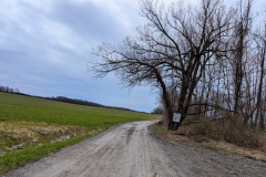 PXL_20250406_155400449-EDIT