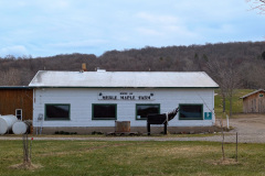 PXL_20250406_161354845-EDIT