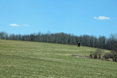 PXL_20250413_164412439-EDIT