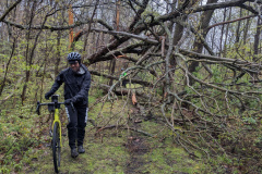 PXL_20250504_172558170