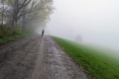 PXL_20250504_175356330