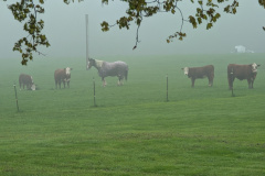 PXL_20250504_180039341